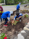 A ALL STARS AT ZOO PLANTING