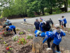 A ALL STARS AT ZOO PLANTING