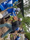 A ALL STARS AT ZOO PLANTING