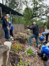 A ALL STARS AT ZOO PLANTING