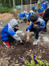 A ALL STARS AT ZOO PLANTING