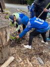 A ALL STARS AT ZOO PLANTING