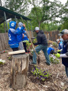 A ALL STARS AT ZOO PLANTING