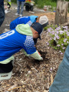 A ALL STARS AT ZOO PLANTING