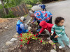 A ALL STARS AT ZOO PLANTING