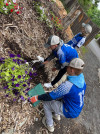 A ALL STARS AT ZOO PLANTING