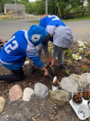 A ALL STARS AT ZOO PLANTING